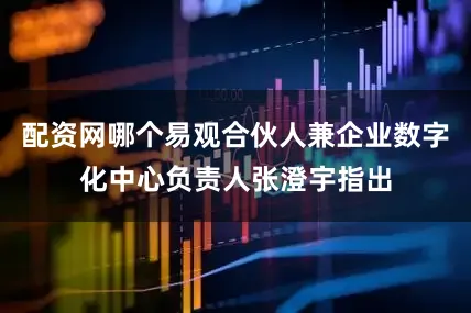 配资网哪个易观合伙人兼企业数字化中心负责人张澄宇指出